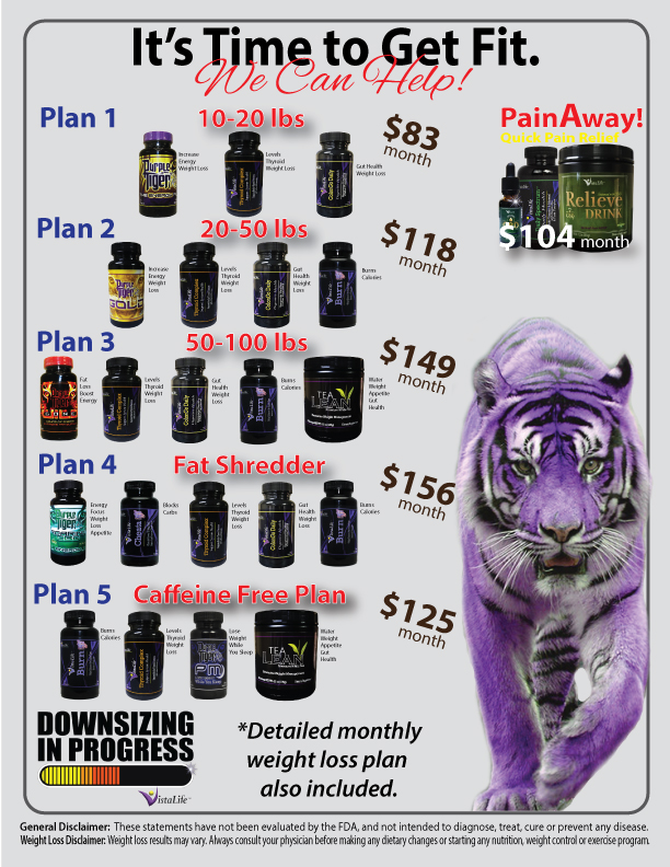 the-weight-loss-plan-promo